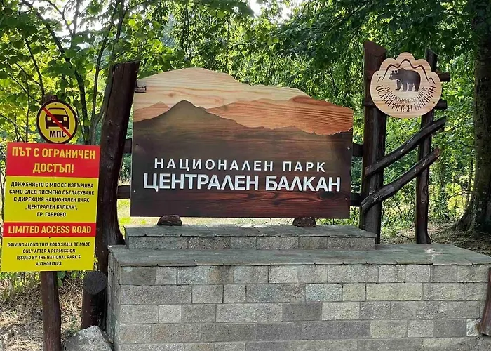 Комплекс Омайник